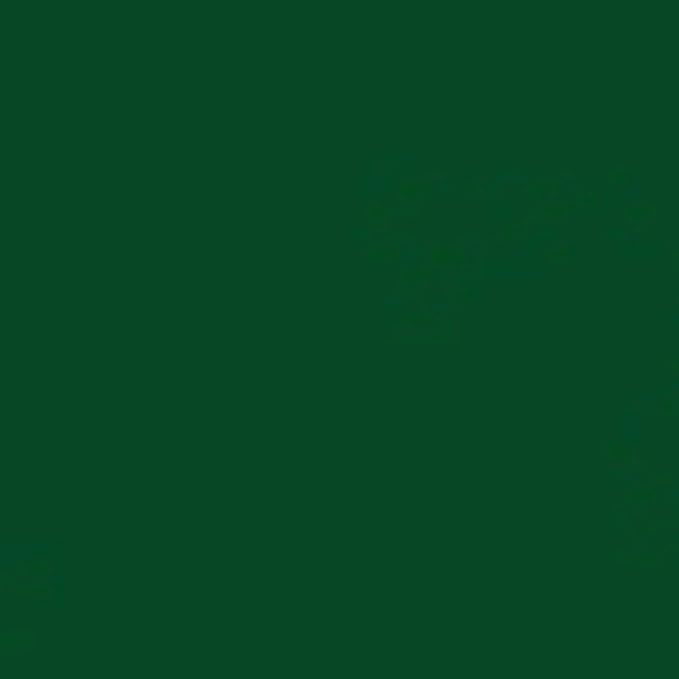 Rust-Oleum 7538838 Professional High Performance Enamel Spray Paint, 15 Oz - Image 4