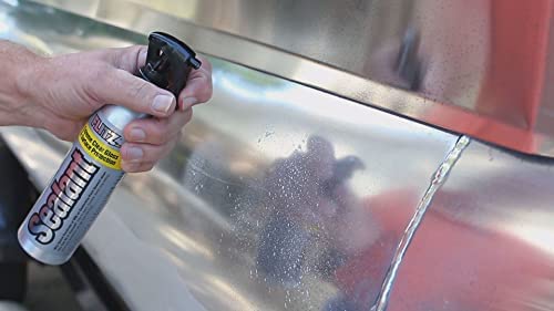 Flitz Car Buffing and Care Kit - Image 4