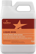 LawnStar Liquid Iron for Plants by LawnStar