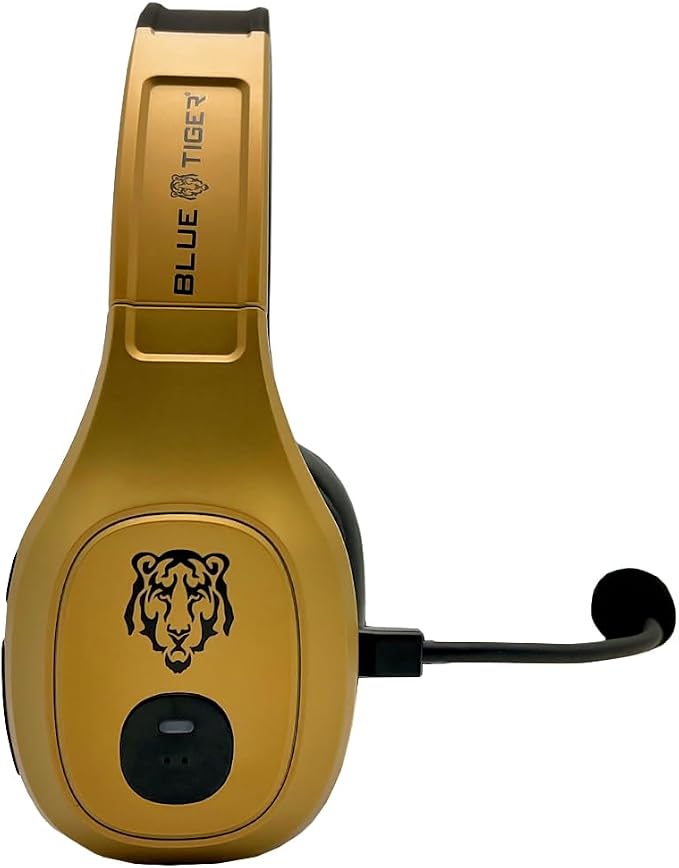 Blue Tiger Storm Gold - Image 8