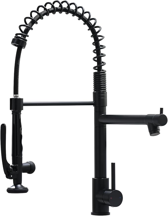 Fapully Black Kitchen Faucet, Commercial Pull Down Kitchen Sink Faucet by Fapully