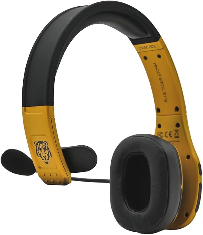 Blue Tiger Storm Gold - Image 4