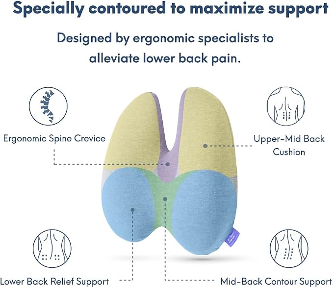 C CUSHION LAB Extra Dense Lumbar Pillow - Image 3