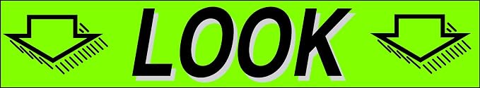 Ez-line Vinyl Windshield Stickers 3 Dozen 15 Inch Chartreuse Slogan Dealership - Image 5