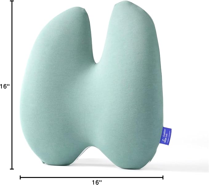 C CUSHION LAB Extra Dense Lumbar Pillow - Image 10