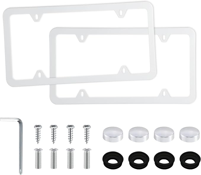 LivTee 4 Holes Stainless Steel License Plate Frames, Automotive Exterior by LivTee