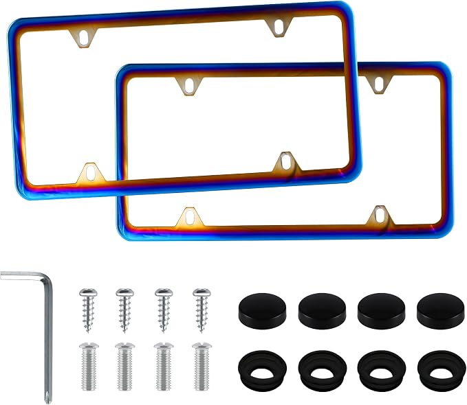 LivTee 4 Holes Stainless Steel License Plate Frames, Automotive Exterior by LivTee
