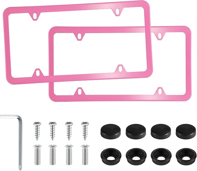 LivTee 4 Holes Stainless Steel License Plate Frames, Automotive Exterior by LivTee