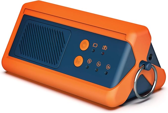 Airthereal PA1K-GO 1, 000mg/h Portable Ozone Generator by Airthereal
