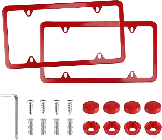 LivTee 4 Holes Stainless Steel License Plate Frames, Automotive Exterior by LivTee