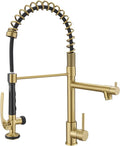 Brushed Gold Kitchen Faucet by Fapully