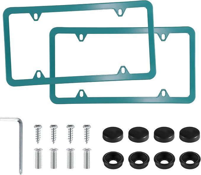LivTee 4 Holes Stainless Steel License Plate Frames, Automotive Exterior by LivTee