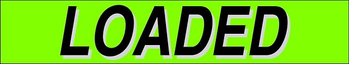 Ez-line Vinyl Windshield Stickers 3 Dozen 15 Inch Chartreuse Slogan Dealership - Image 5