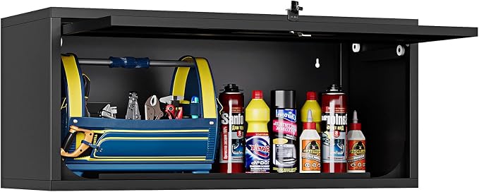 Small Wall-Mounted Locking Cabinet Metal Garage Storage Cabinet Hanging by STANI