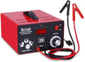 C20 Adjustable Battery Charger 12V 24V 36V 48V, 12A Pulses of High-Voltage by Beleeb
