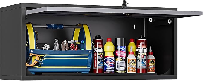 Wall Mounted Steel Metal Garage Storage Cabinet, Wall Cabinet Shelf Floating by STANI