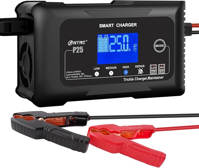 25Amp Lithium Battery Charger, 12V and 24V Lead-Acid Battery Charger, Battery by Dylannet