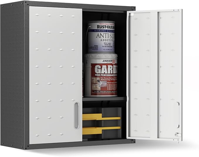 Garage Wall Cabinet, Metal Wall Cabinet by VIYET