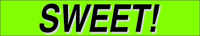 Ez-line Vinyl Windshield Stickers 3 Dozen 15 Inch Chartreuse Slogan Dealership - Image 5