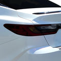 BOGAR TECH DESIGNS Rear Taillight Tail Light Tint Kit PPF Compatible by BogarTechDesigns