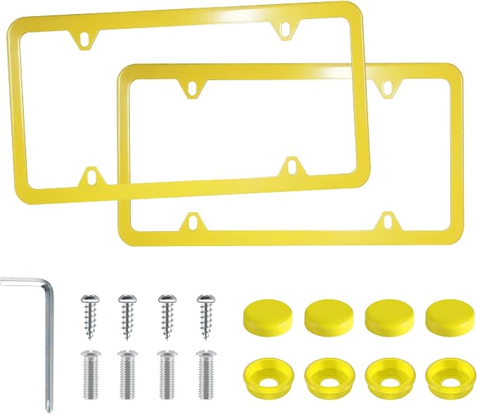 LivTee 4 Holes Stainless Steel License Plate Frames, Automotive Exterior by LivTee