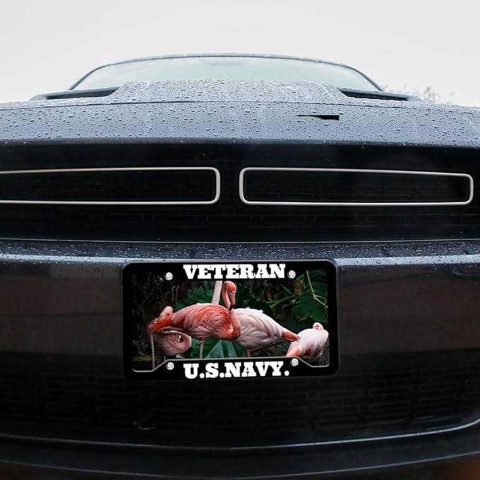 Personalized License Plate Frames Custom License Plate Holder 4 Holes Text - Image 4