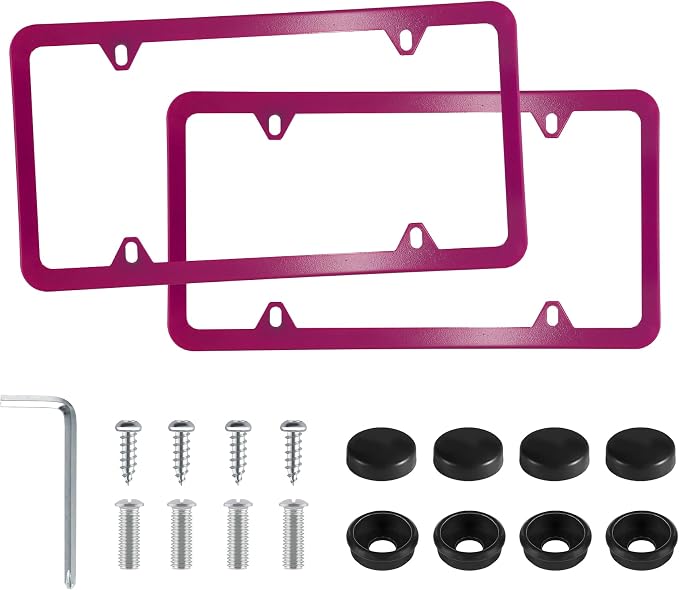 LivTee 4 Holes Stainless Steel License Plate Frames, Automotive Exterior by LivTee