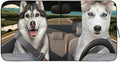 Gven Windshield Shade, Car Sun Shade by Gven