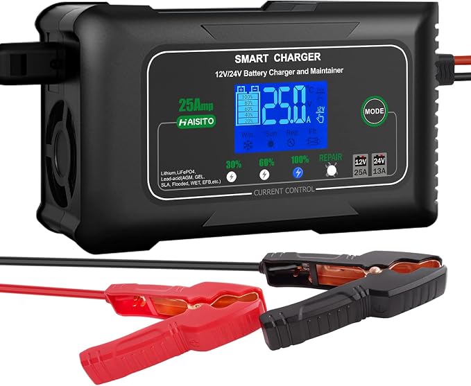 25 Amp Lithium Battery Charger, 12V and 24V Lifepo4, Lead-Acid Battery Charger by haisito