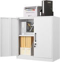 LUCYPAL Locking Storage Cabinets, Metal Cabinet by HomeOfficeFurniture