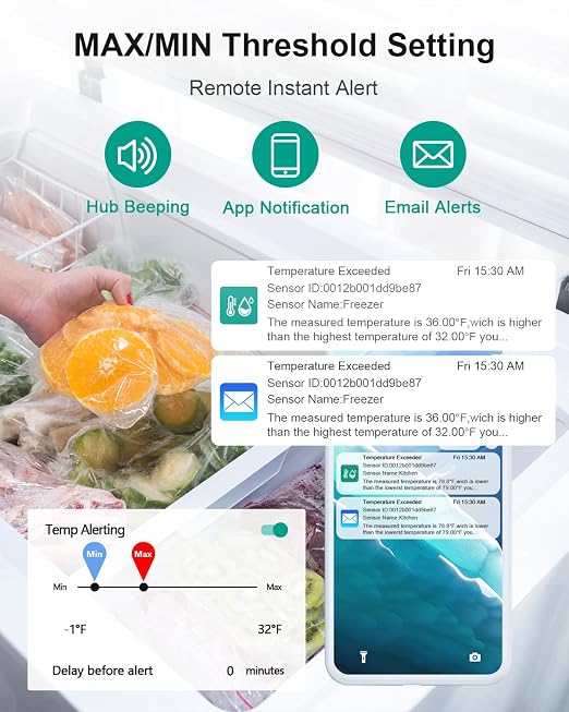 WiFi Thermometer Freezer Alarm, Email Alert, App Notification, Data Record - Image 2
