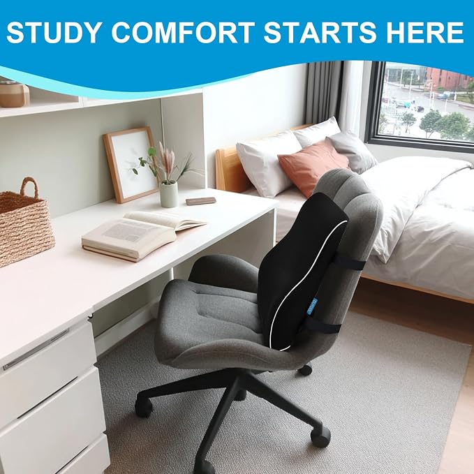 Lumbar Support Pillow for Office Chair, Office Home, College Dorm Room - Image 2
