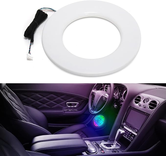 Dreamcolor Door Horn Light*1, which fit by MAODANER