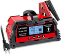 LVYUAN 25Amp Smart Car Battery Charger, 12V/24V Automotive Charger, Lead-Acid by LVYUAN