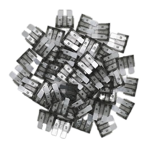 2 Amp Standard Fuse, 2A Car Blade Fuses by Fuselechada