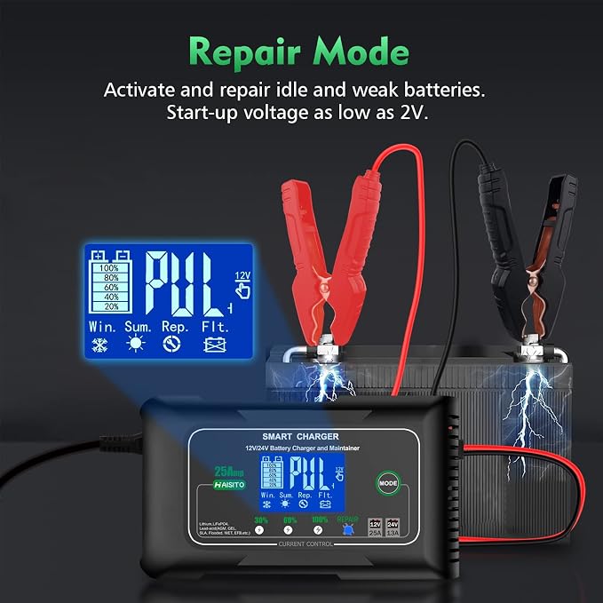 25 Amp Lithium Battery Charger, 12V and 24V Lifepo4, Lead-Acid Battery Charger - Image 4