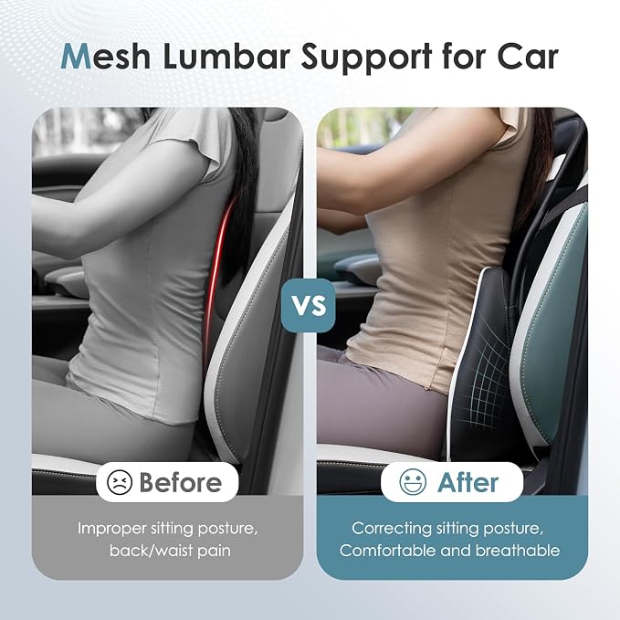 FLORICH Double Layer Breathable Mesh Lumbar Support Ergonomic Leather Lumbar - Image 7