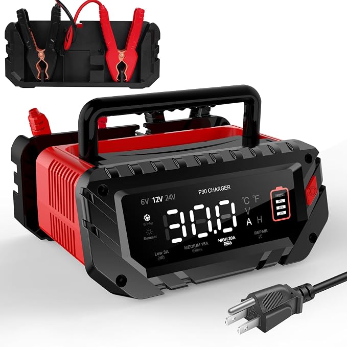 30 Amp 6V/12V/24V Smart Trickle Charger, Car Battery Charger, Lead Acid Battery by YHCHKJ