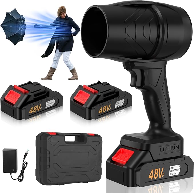 Turbodry 13000RPM Cordless Car Dryer & Turboglass Blower – Dual Batteries by Fsawdnn