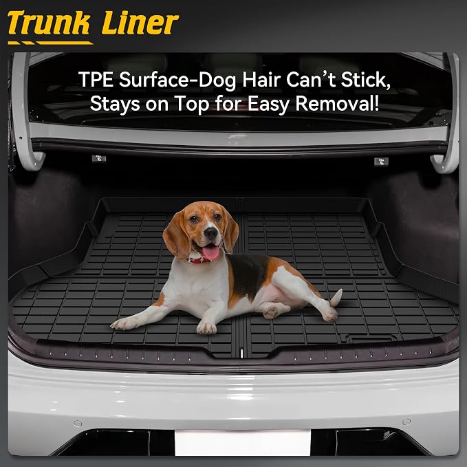 Floor Mats & Cargo Mat Custom Fit - Image 3