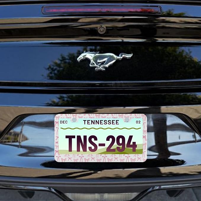 License Plate Frame for Pink Bow Stainless Steel License Plate Frames Holder - Image 7