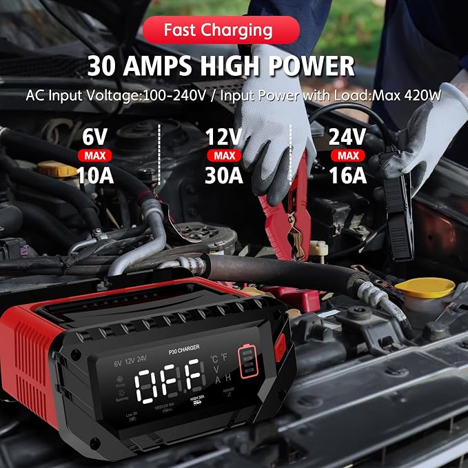 30 Amp 6V/12V/24V Smart Trickle Charger, Car Battery Charger, Lead Acid Battery - Image 6
