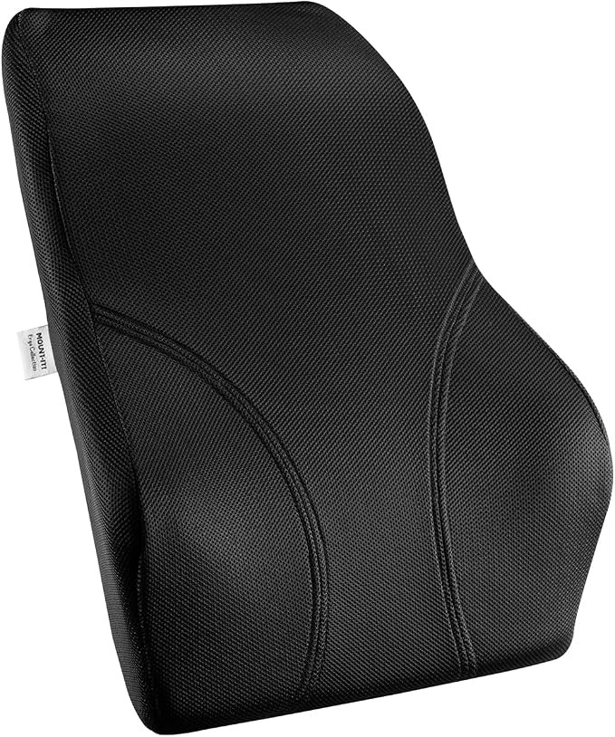Mount-It! Office Chair Cushion, Lumbar Support Pillow by Mount-It