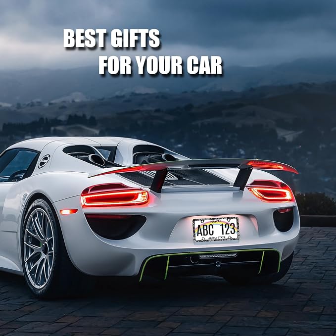 Black and White Paisley License Plate Frame Boho License Plate Holder Stainless - Image 5