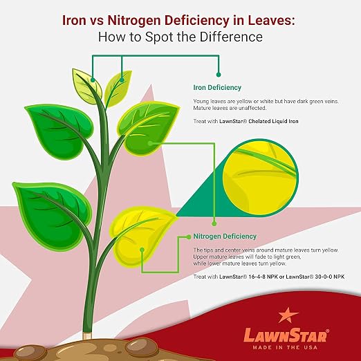 LawnStar Liquid Iron for Plants - Image 7