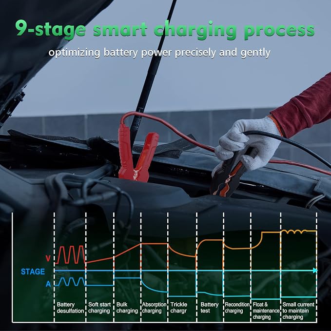 25 Amp Lithium Battery Charger, 12V and 24V Lifepo4, Lead-Acid Battery Charger - Image 5