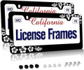 Stainless Steel Hibiscus Flower License Plate Frame Hibiscus License Plate by Unknown