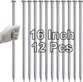 VVOKGO 16 Inch Rebar Stakes Metal Asphalt Anchoring Spikes Ground, 1/2 Inch by VVOKGO