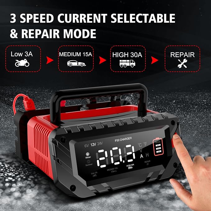 30 Amp Lithium Battery Charger, 6V/12V/24V Lifepo4, Lead-Acid Portable Car - Image 3