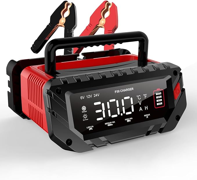 30 Amp Lithium Battery Charger, 6V/12V/24V Lifepo4, Lead-Acid Portable Car by haisito